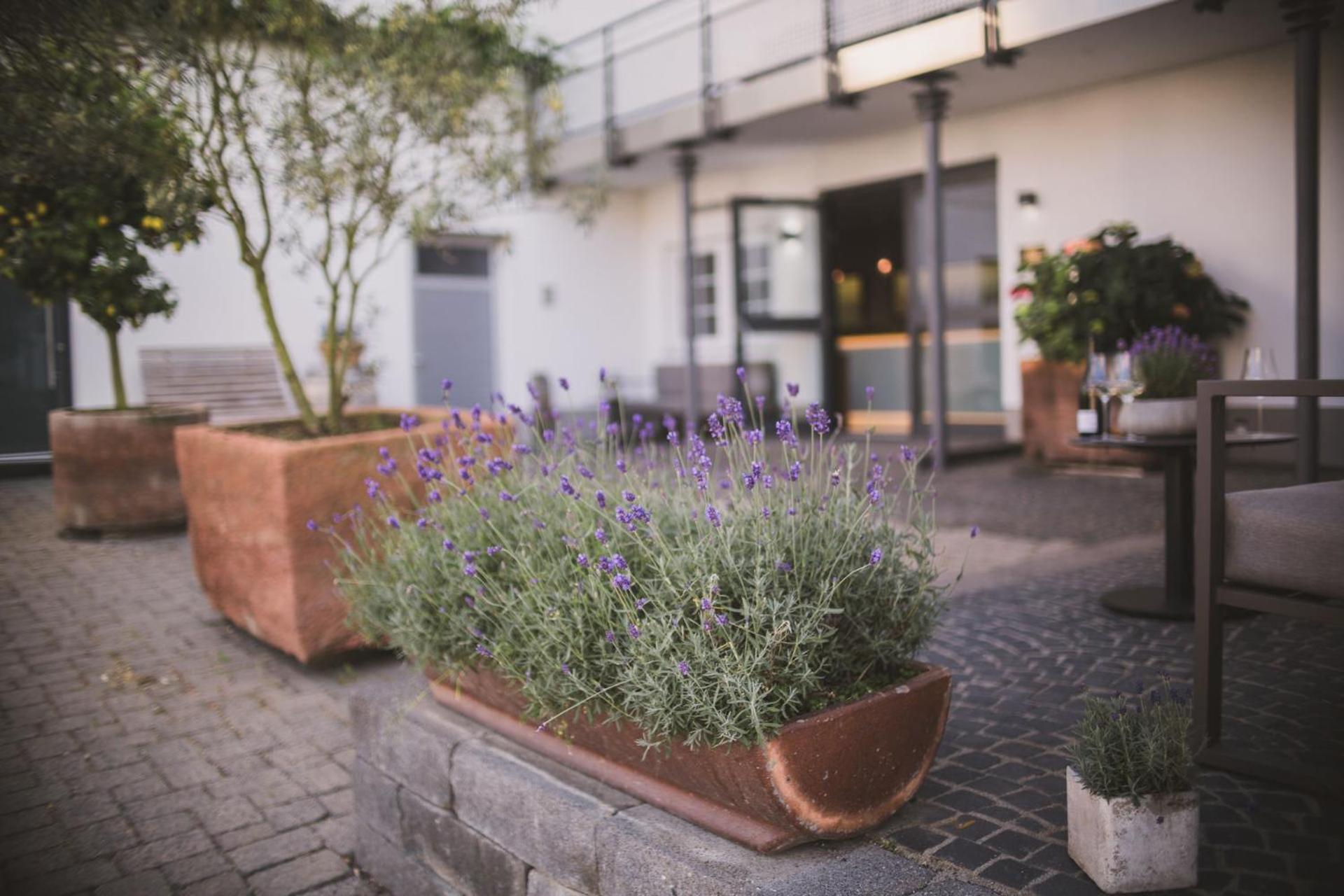 Weingut Gehlen-Cornelius Brauneberg Exterior foto